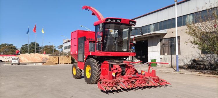 1677641360160032.jpg 202302261518310542.jpg!w640qm.jpg